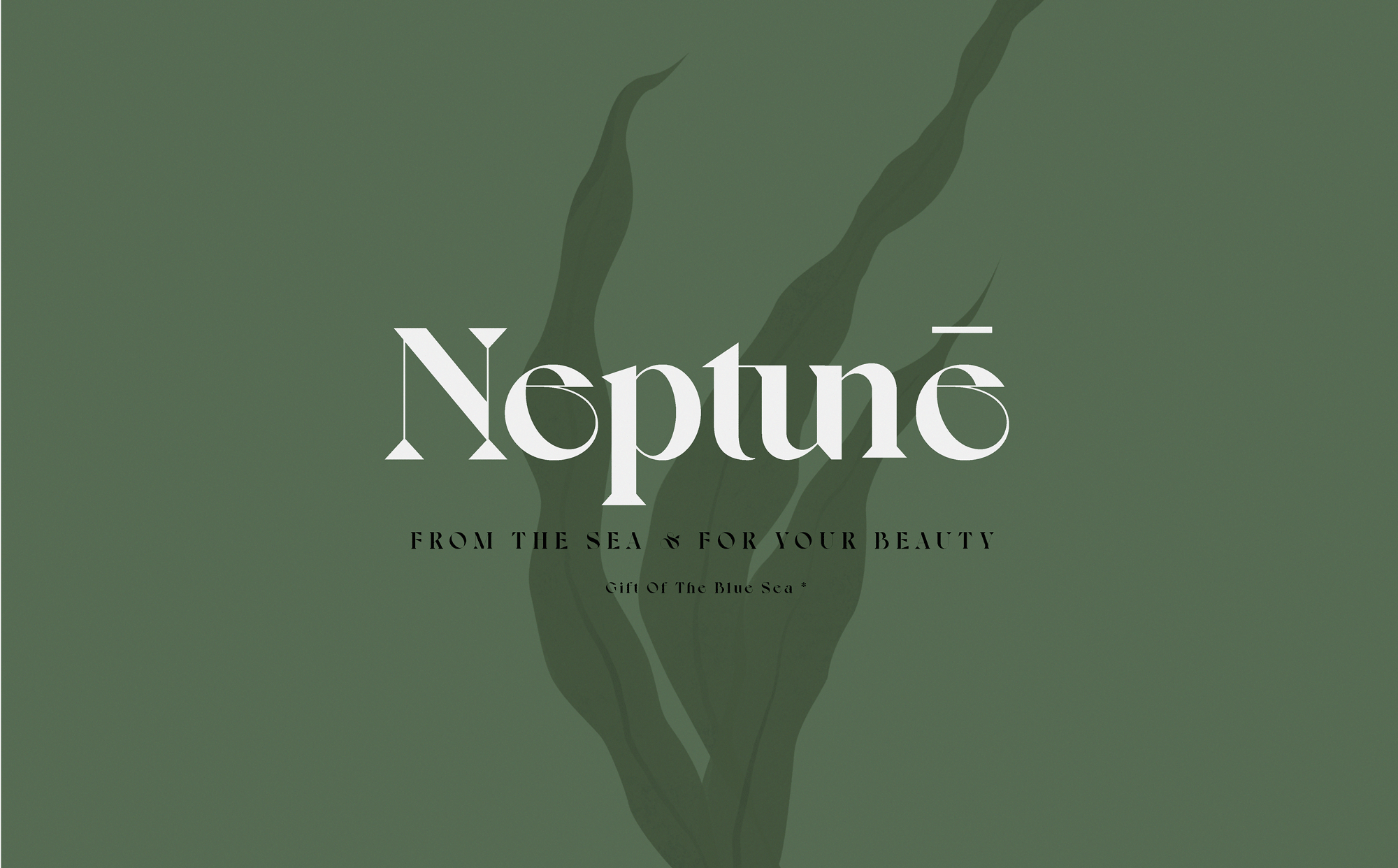 「Neptune」護膚品包裝設(shè)計