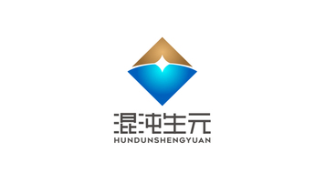 混沌生元投资金融品牌LOGO设计