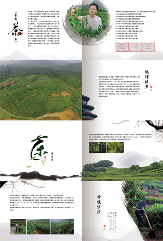 海报和画册作品图0
