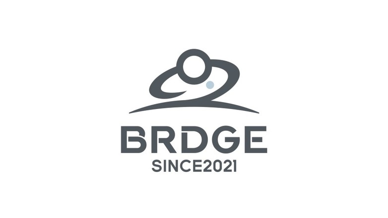 BRDGE海外高奢服飾LOGO設計