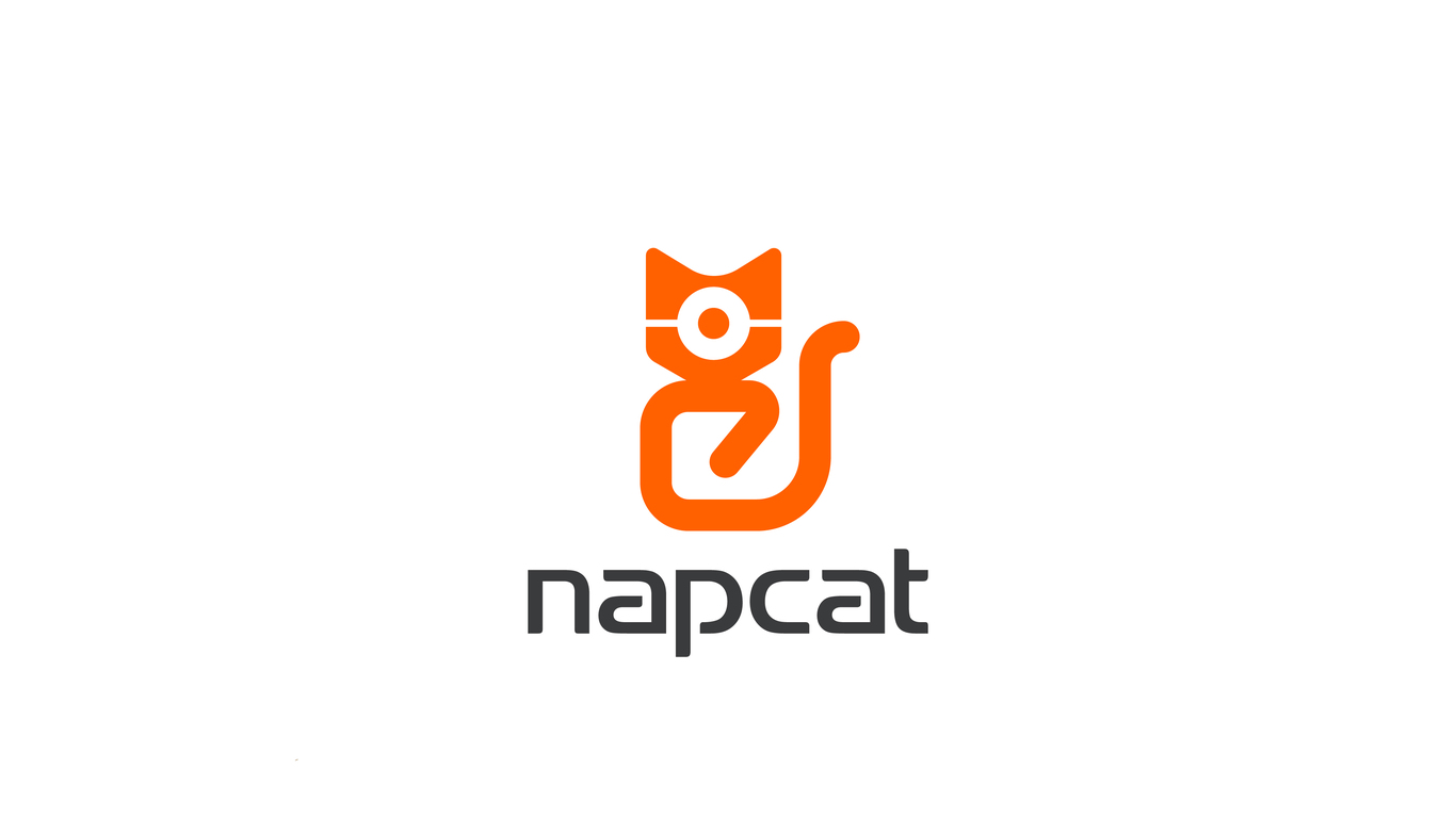 Napcat科技攝像頭類LOGO設(shè)計中標(biāo)圖2