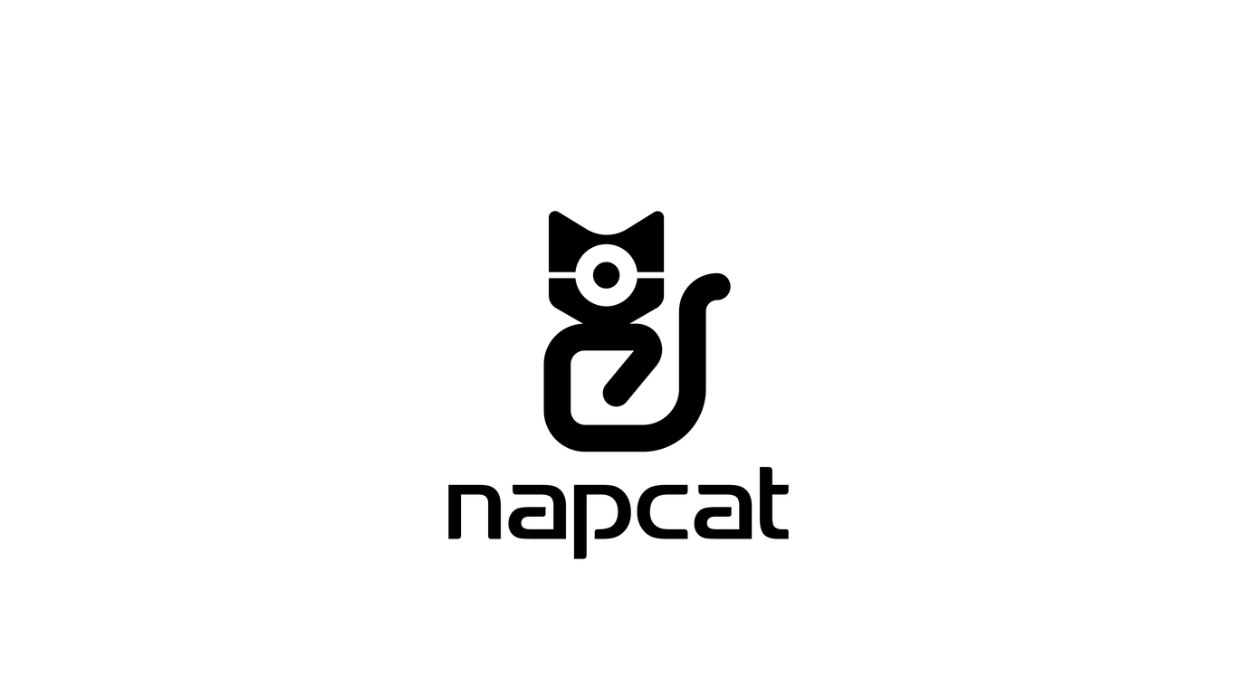 Napcat科技攝像頭類LOGO設(shè)計中標(biāo)圖12