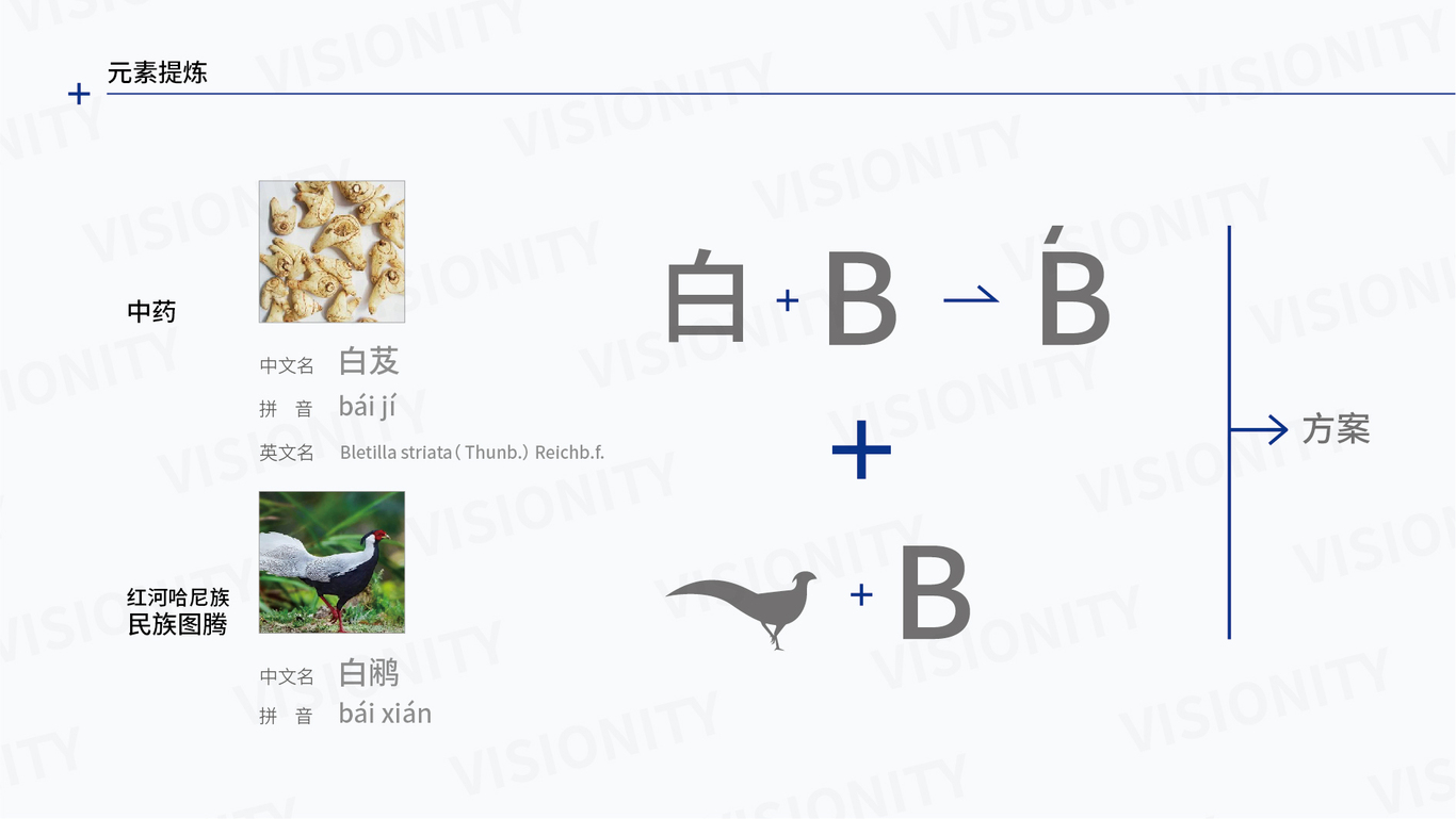 祥順生物“柏芨”商標(biāo)設(shè)計(jì)方案圖3