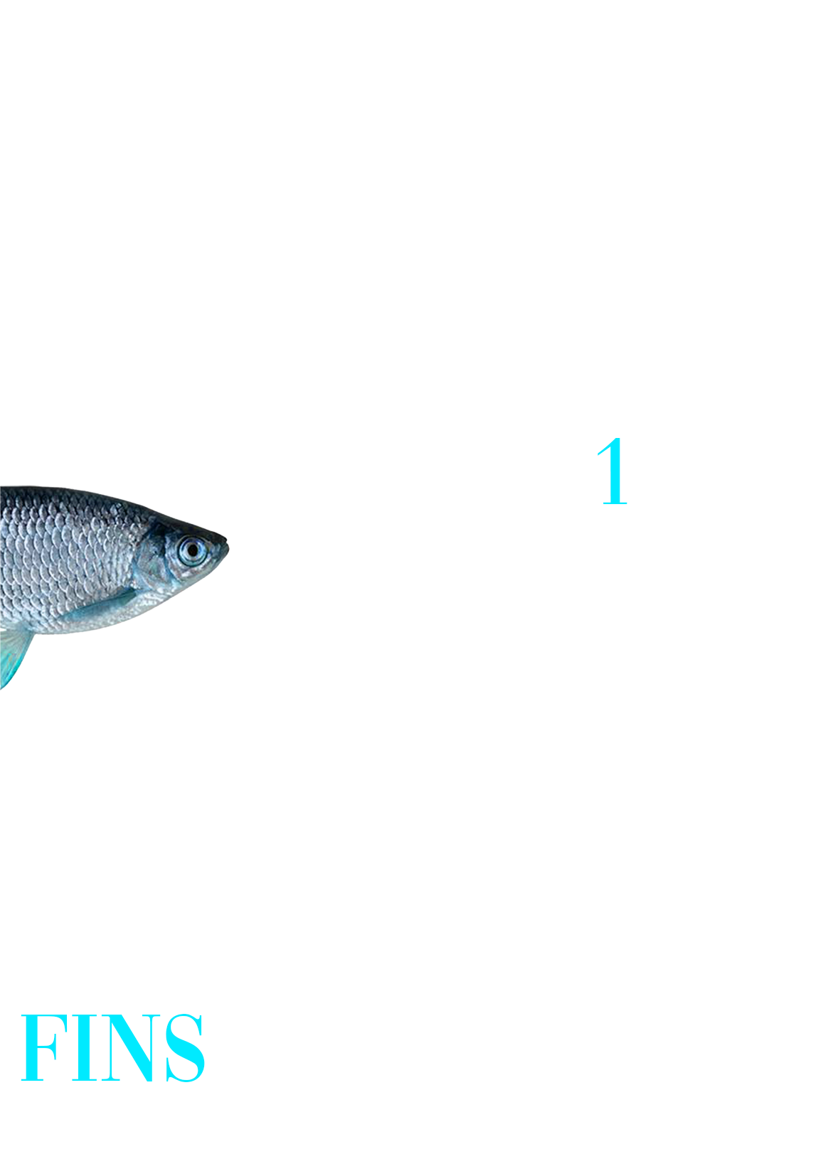 FINS图11