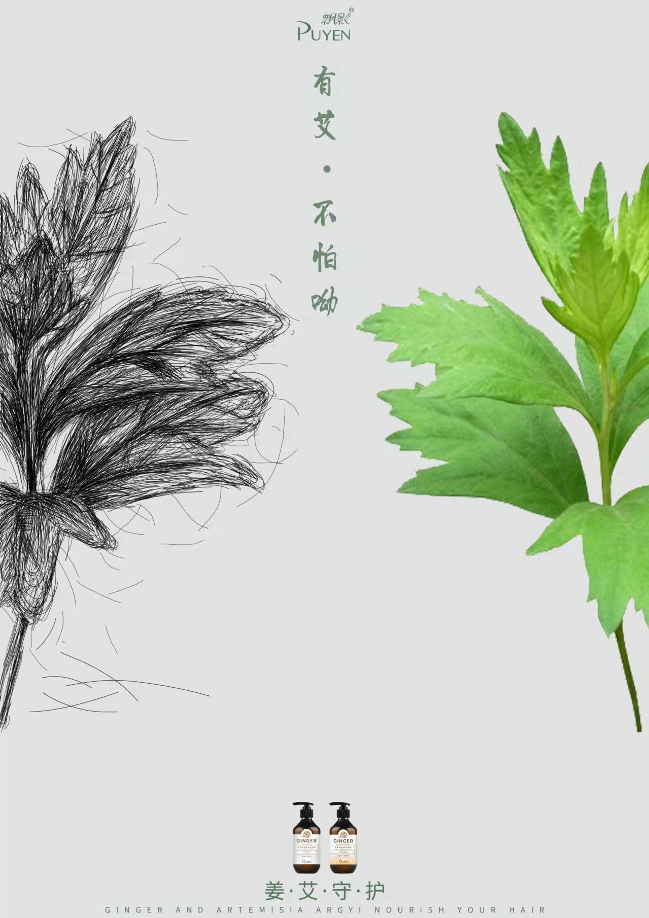 姜艾守护图0