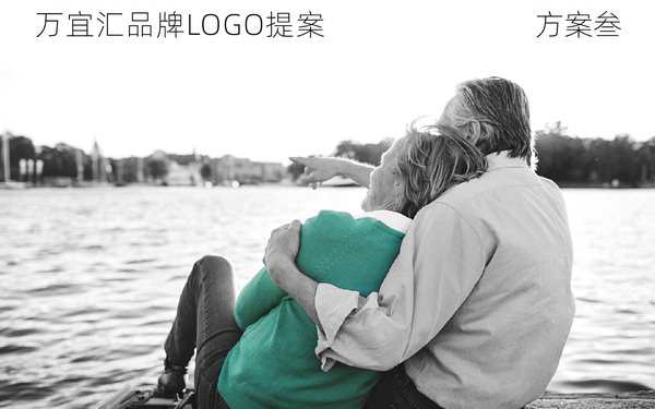 万宜汇品牌LOGO及文字提案