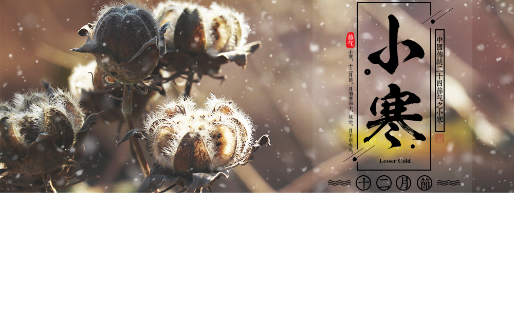 节气海报  商品海报图0