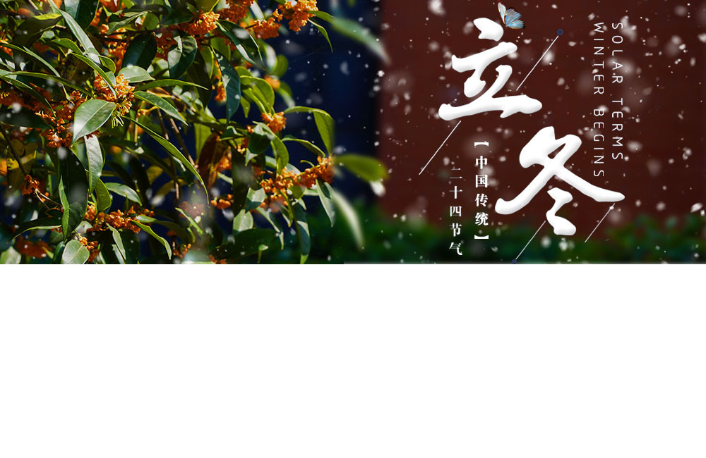 节气海报  商品海报图2