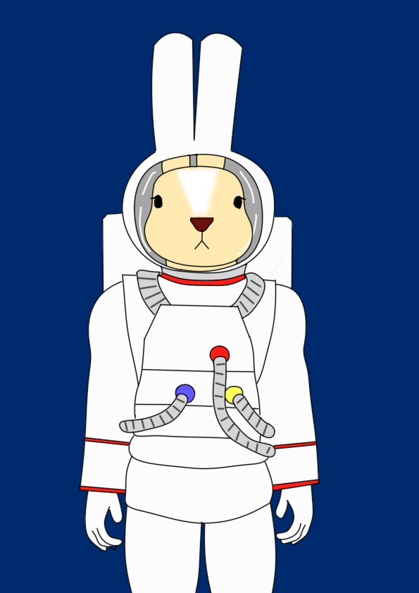 一些兔子