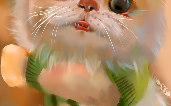 猫咪