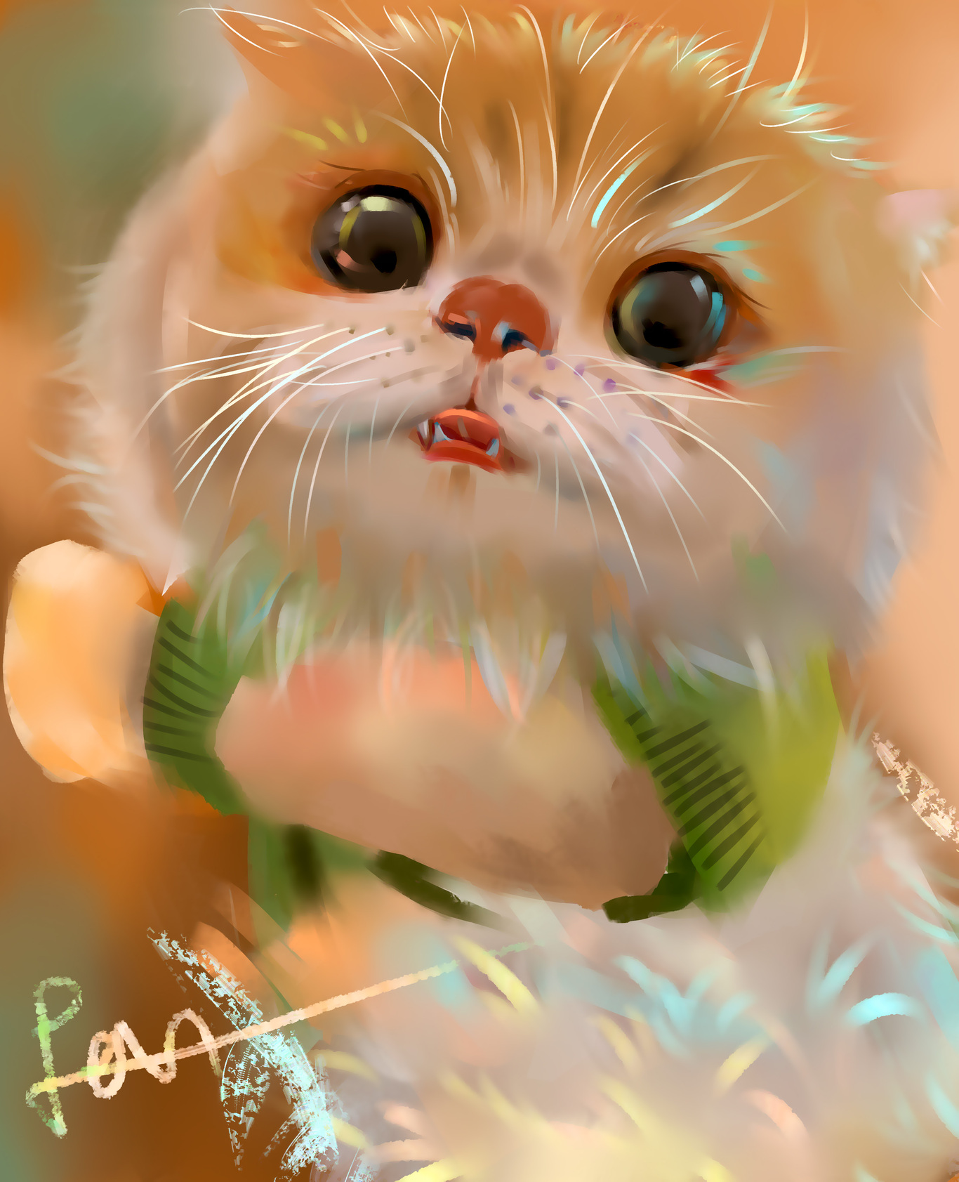 猫咪图0