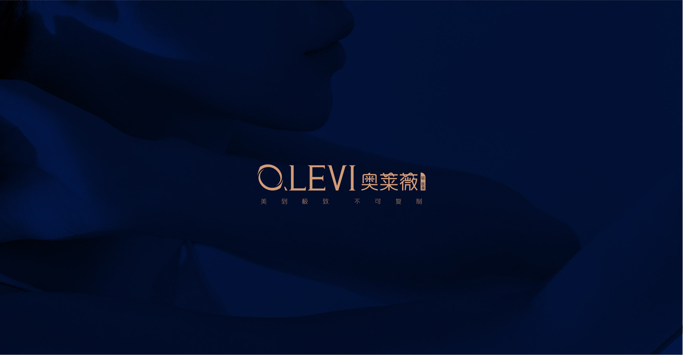 作品集图7