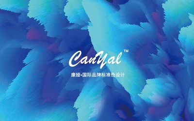 康娅国际Canyal-大健康-品牌标准...