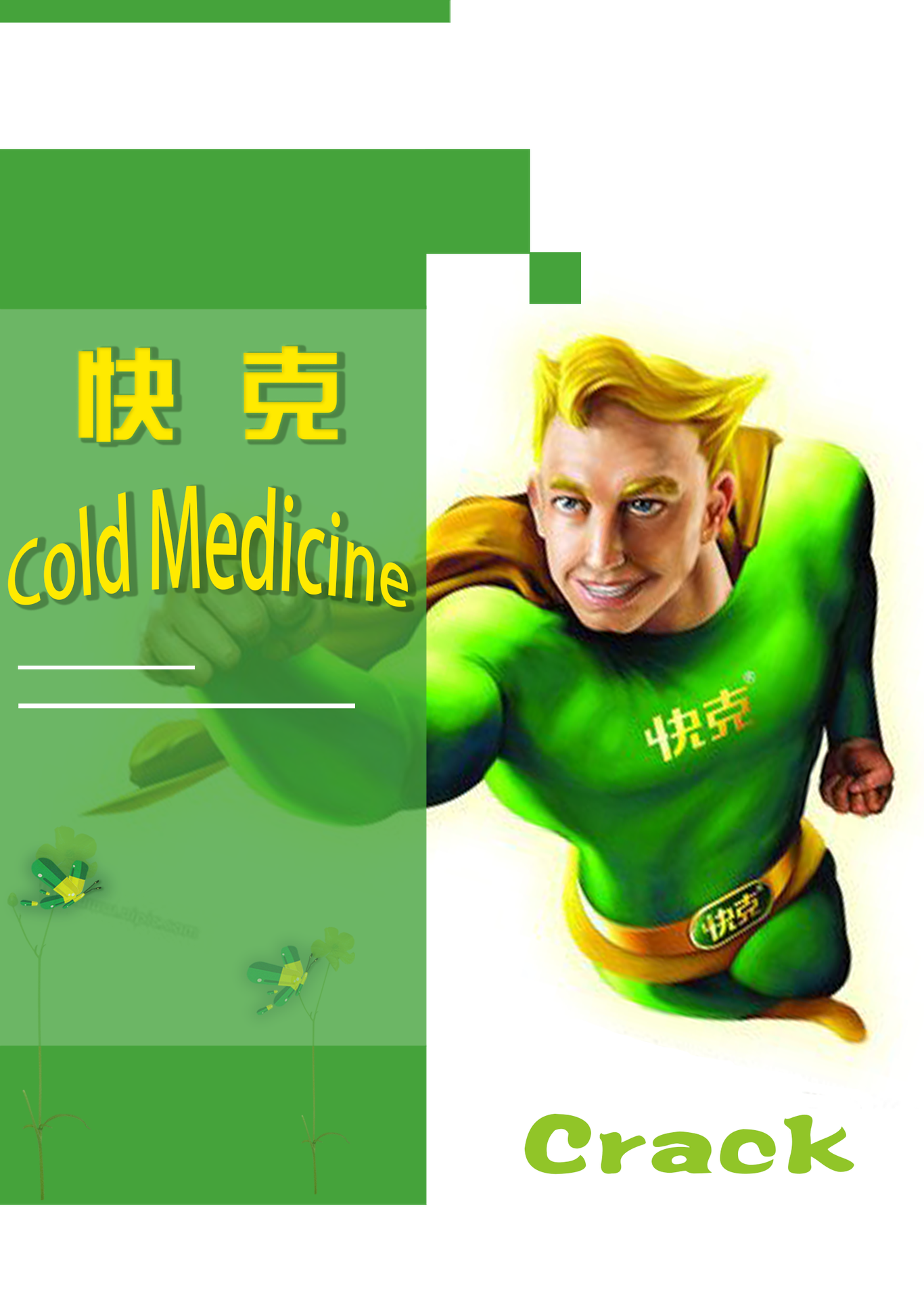 快克宣传册图10
