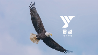 君越整形醫(yī)療器械類LOGO設計