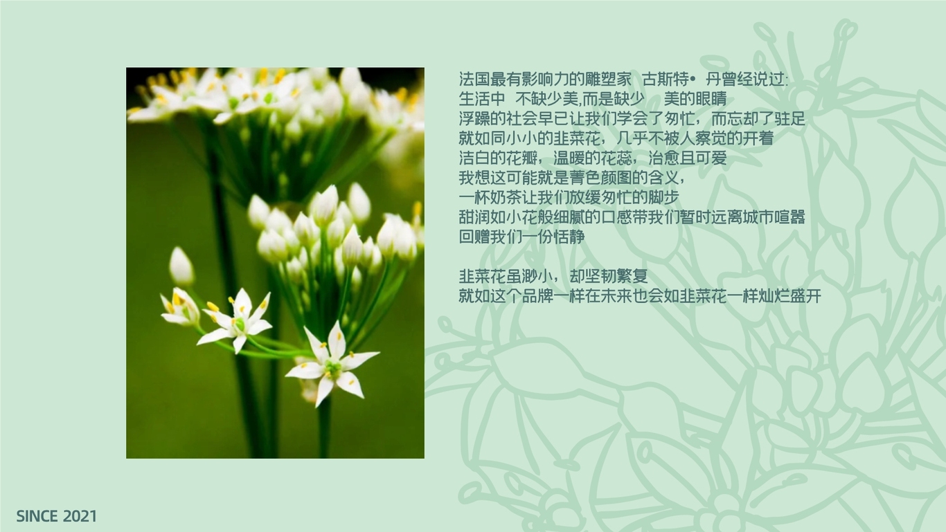 菁色颜图VI图1
