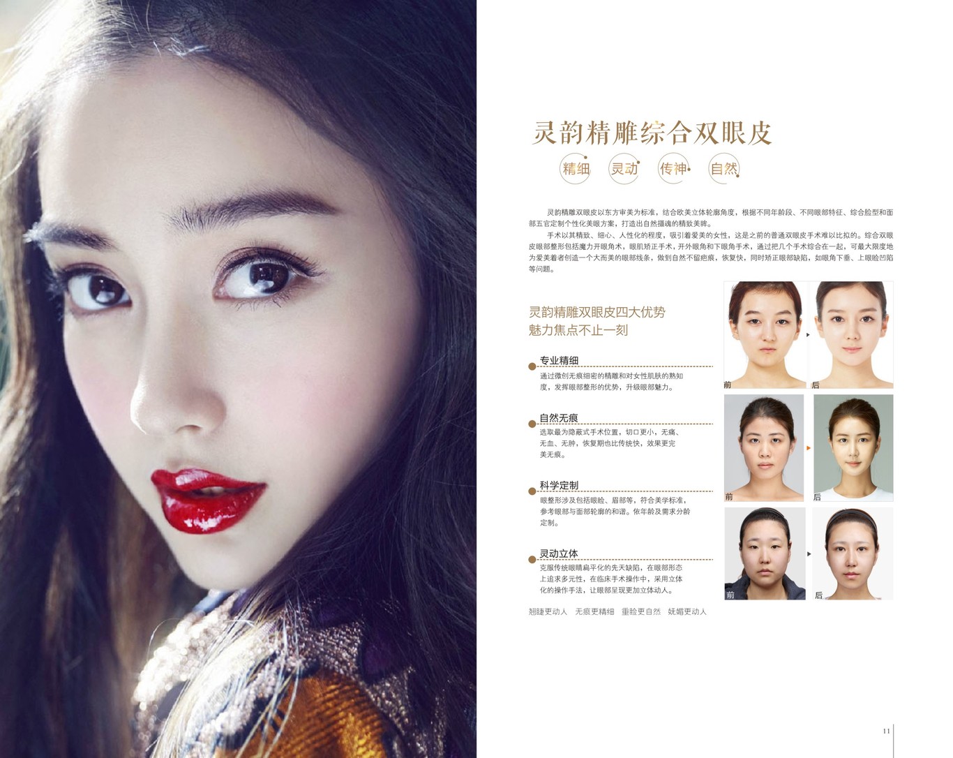 画册图5