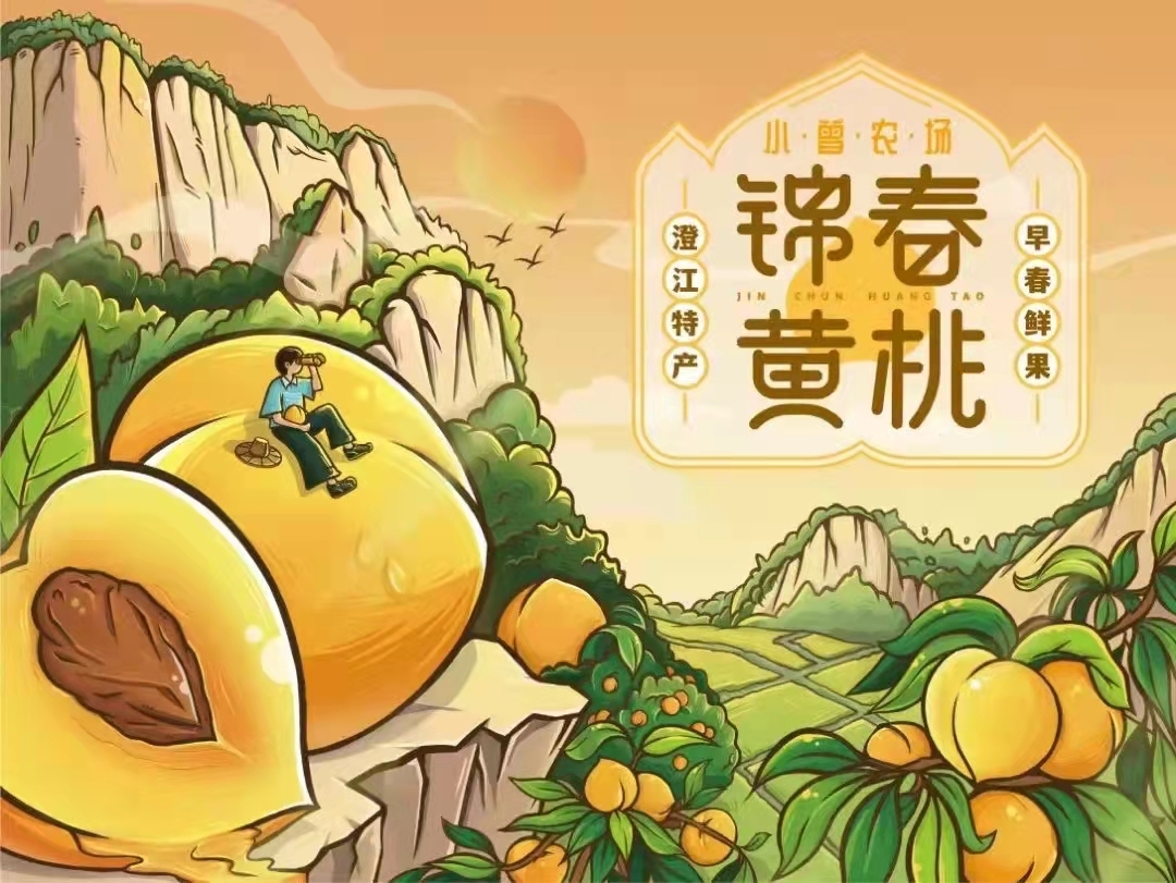 包装图4
