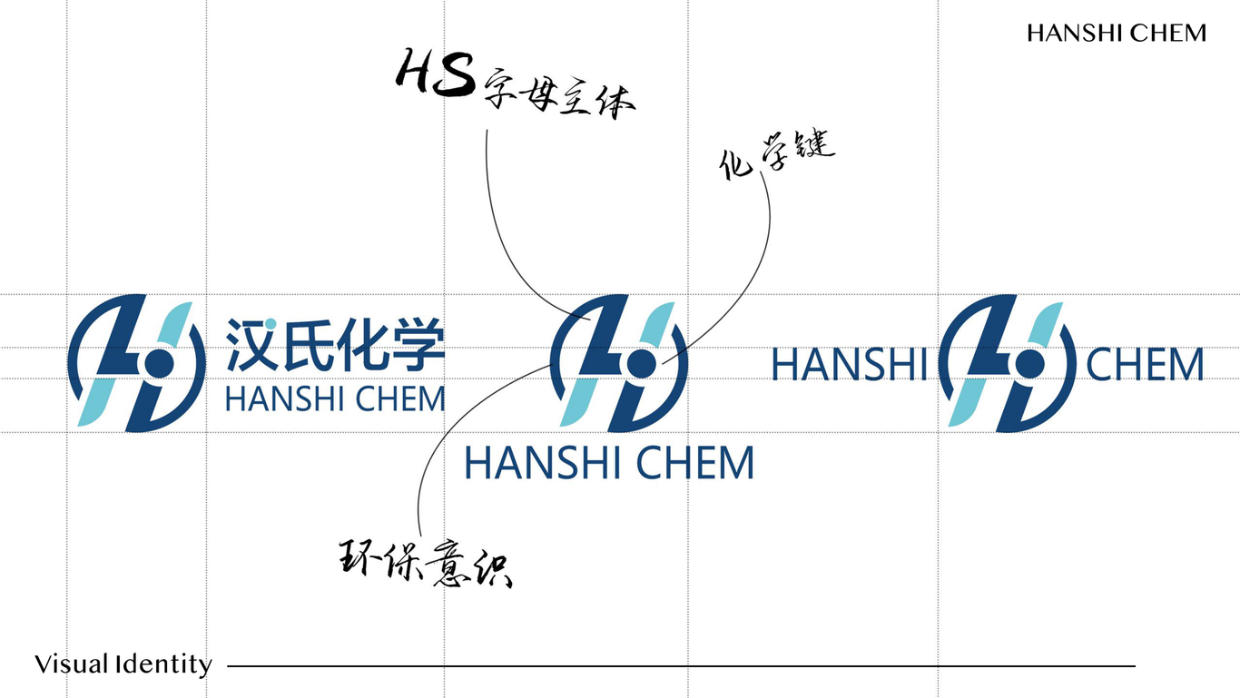 武汉汉氏化学公司LOGO图3