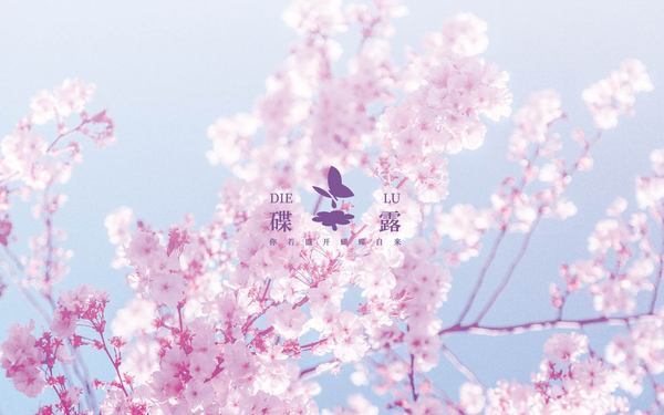 碟露