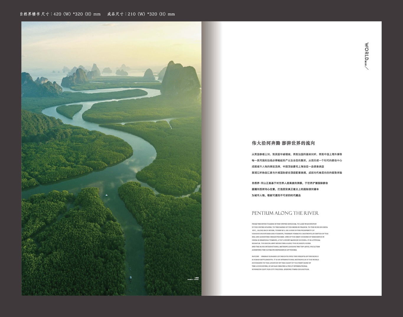 自然界项目画册图6