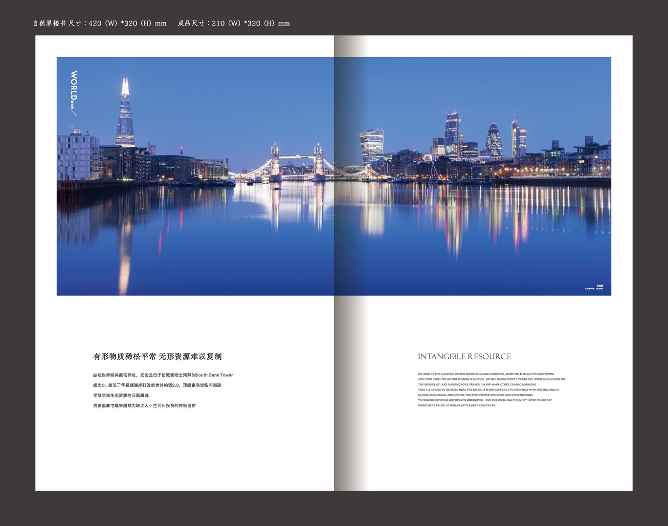 自然界项目画册图5