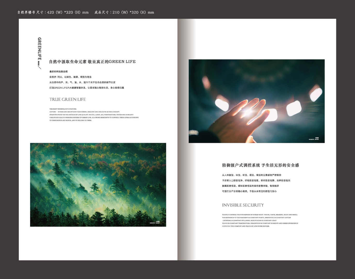 自然界项目画册图17