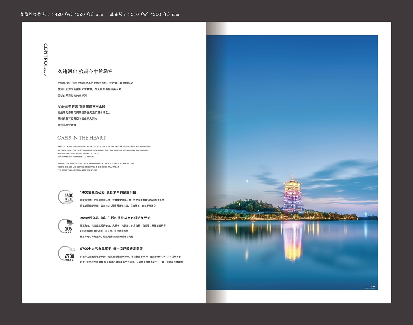 自然界项目画册图13
