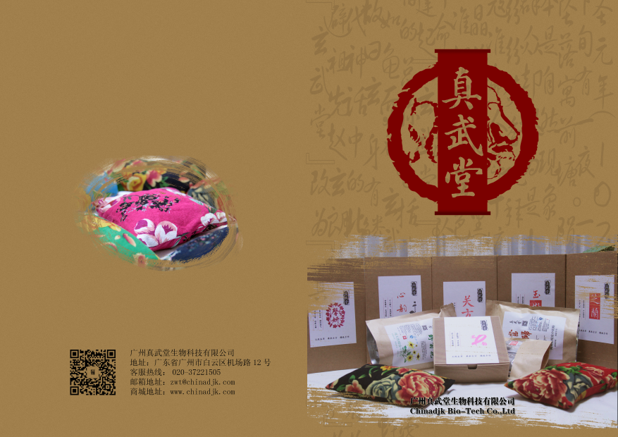 真武堂品牌設計-logo設計及畫(huà)冊設計圖5