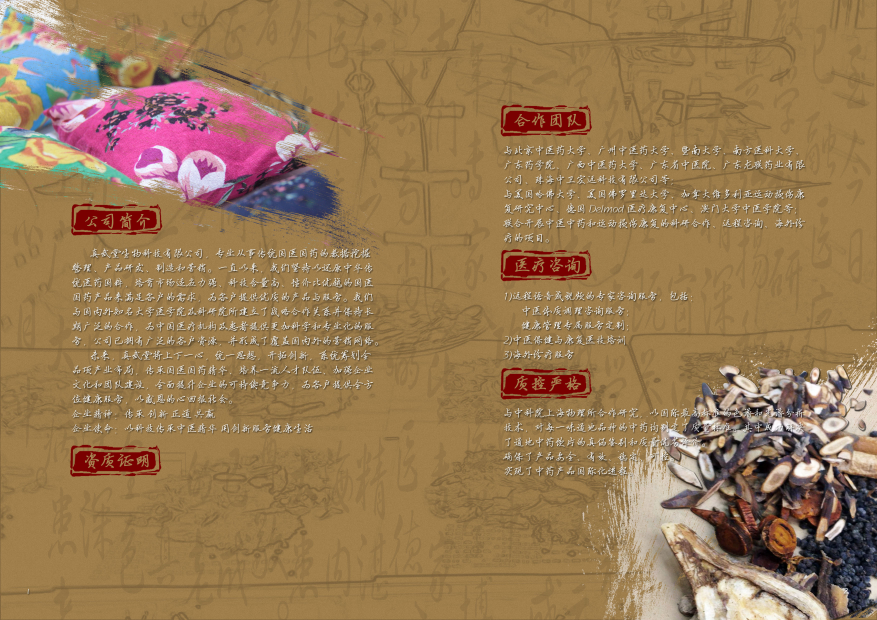 真武堂品牌設計-logo設計及畫(huà)冊設計圖4