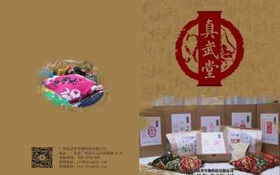 真武堂品牌設(shè)計(jì)-logo設(shè)計(jì)及...