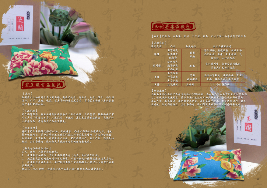 真武堂品牌設計-logo設計及畫(huà)冊設計圖2