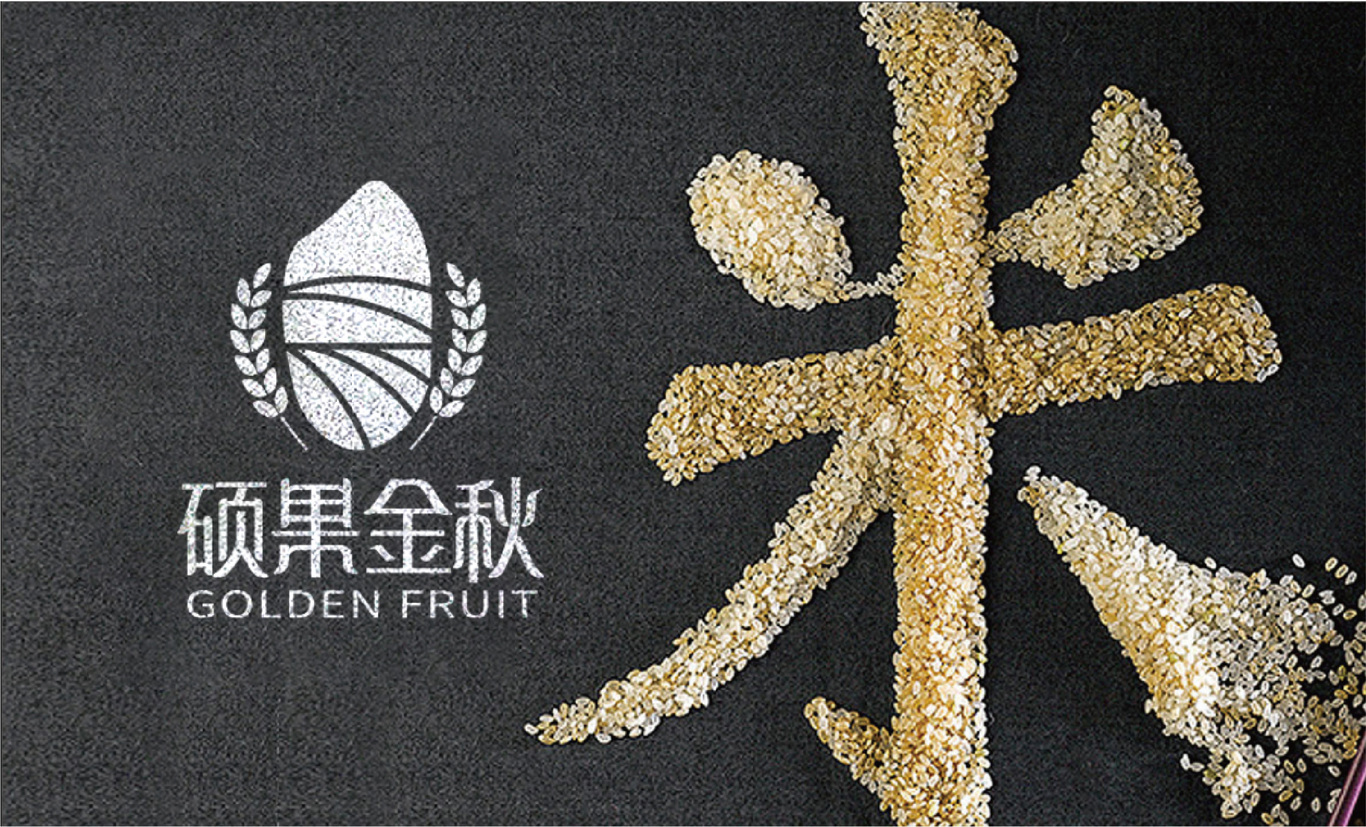 碩果金秋農業(yè)品牌升級LOGO設計圖6