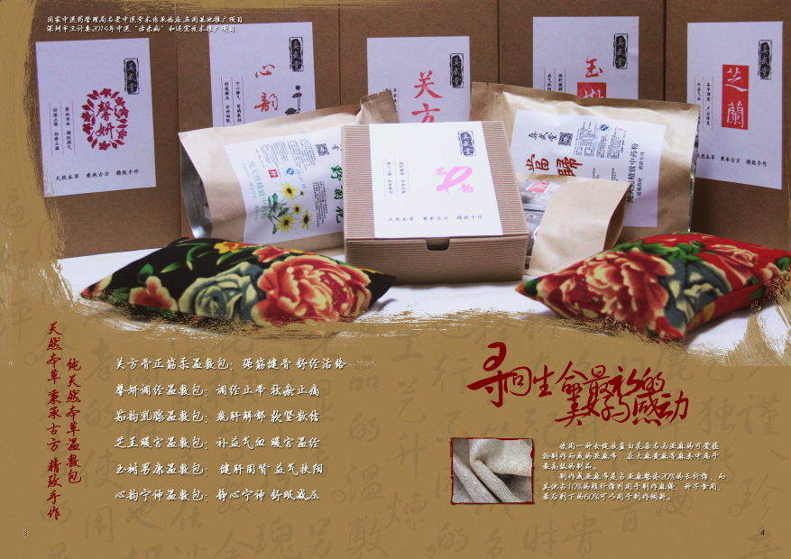 真武堂品牌設計-logo設計及畫(huà)冊設計圖0