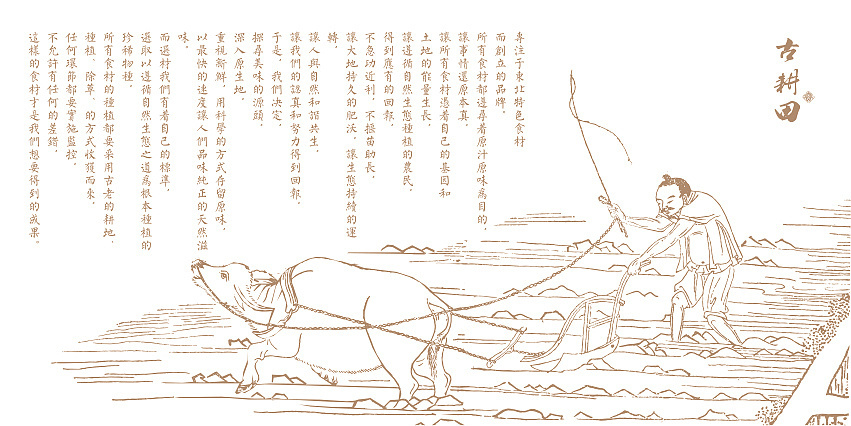 包装设计图0