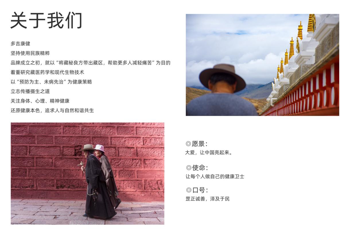 “多吉康健”產品宣傳冊圖10