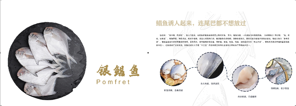 海鲜类产品宣传册图2