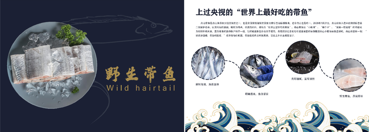 海鲜类产品宣传册图5