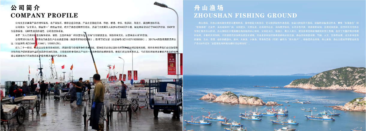 海鲜类产品宣传册图7