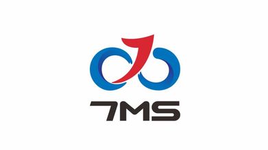 7PMS數字化管理軟件LOGO設計