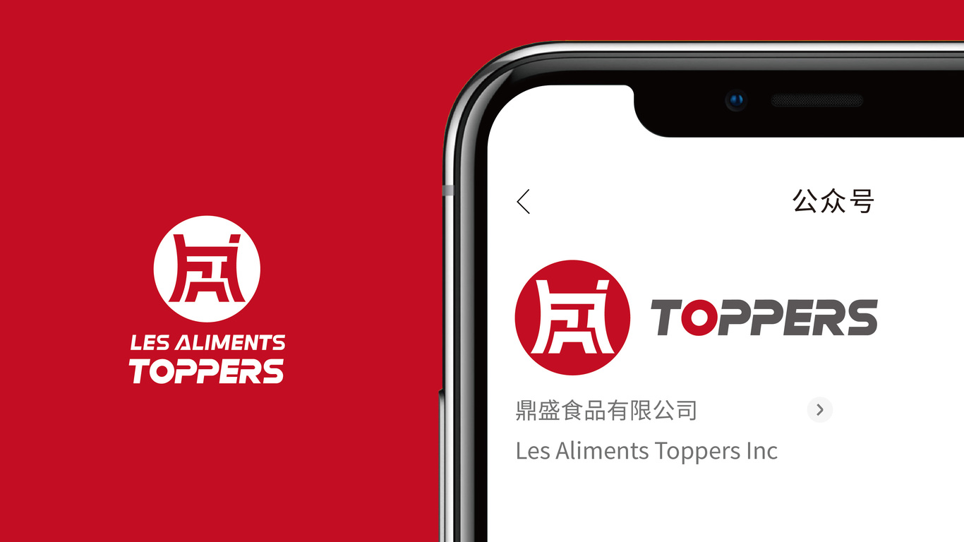 鼎盛食品集团LOGO设计中标图12