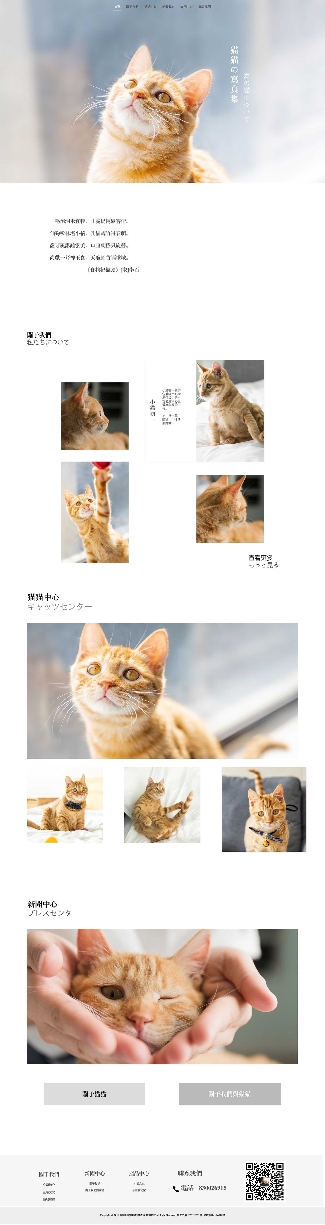 猫咪公益官网图0