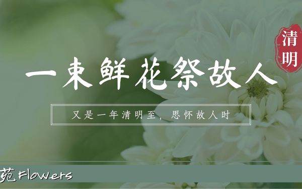 电商插图设计