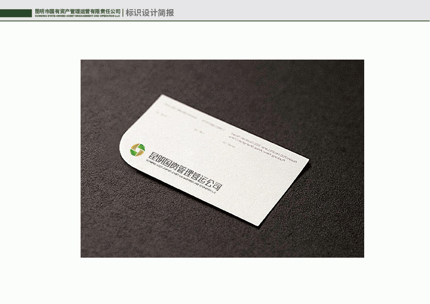 昆明国有资产管理运营有限责任公司标识设计简报图21