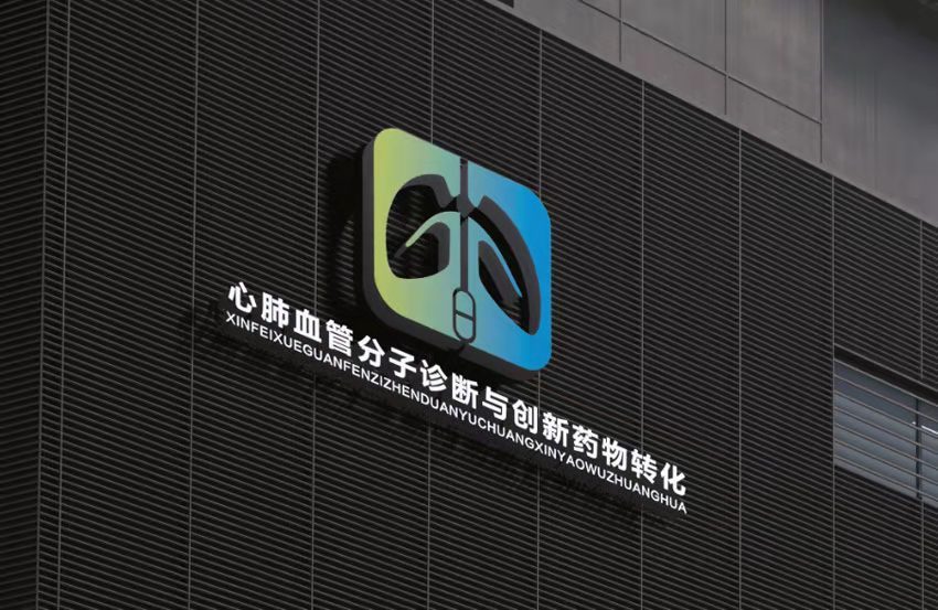 心肺血管分子诊断与创新药物转化/医疗/logo设计图1