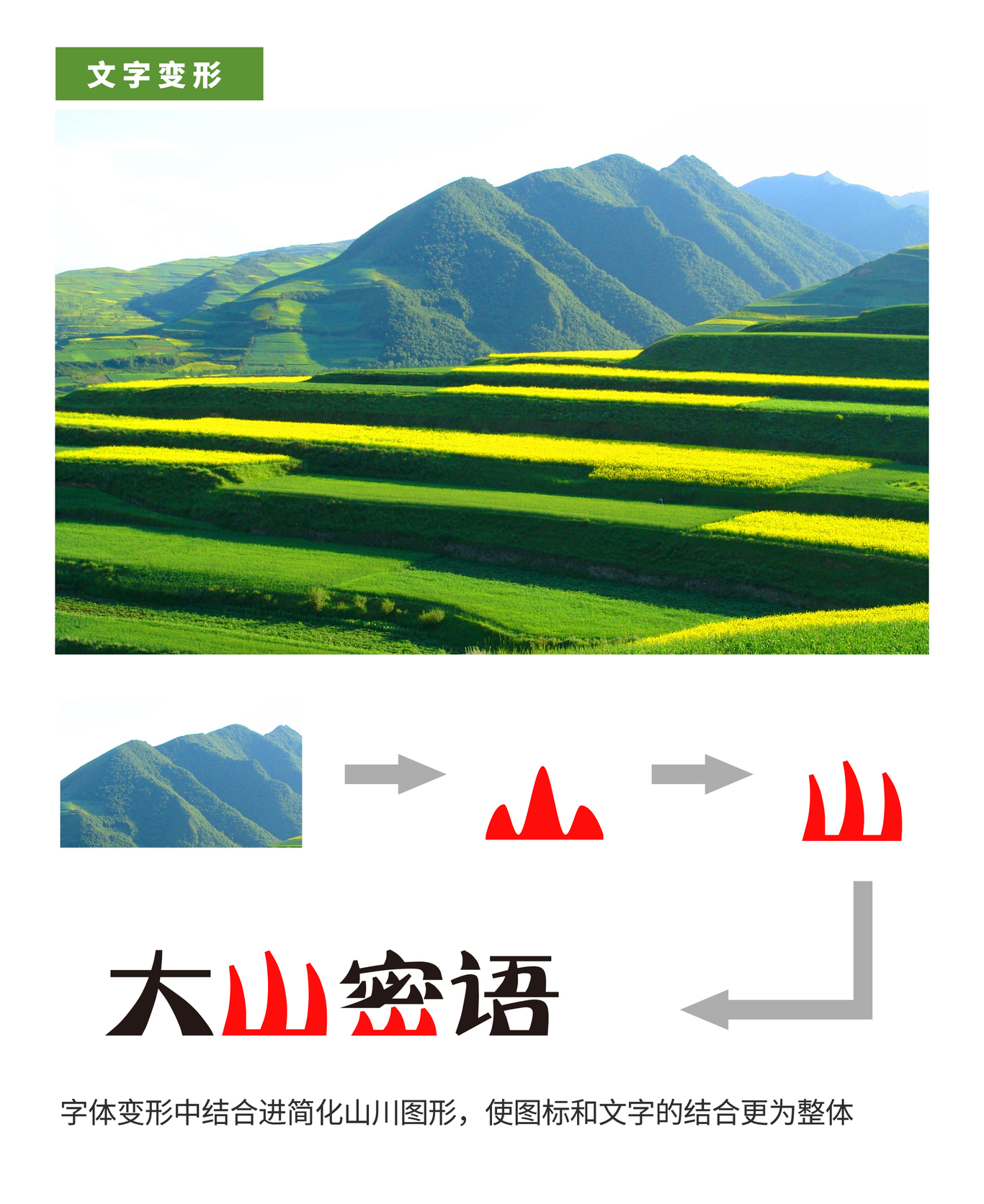 大山密語 地區(qū)農(nóng)業(yè)品牌【LOGO設(shè)計】圖4