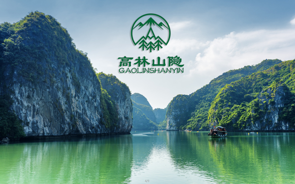 高山林隐
