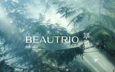 Beautrio美妆品牌设计