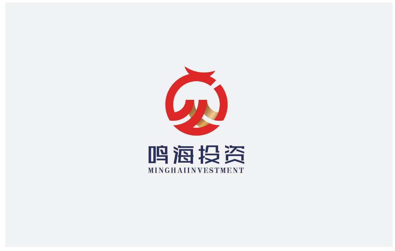 青岛鸣海投资发展有限公司LOGO设计图10