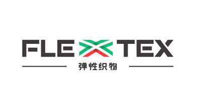 FLEXTEX紡織品類LOGO設(shè)計(jì)